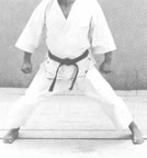 Kiba dachi (13kb)