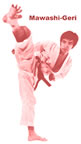 Mawashi geri :Coup de pied circulaire (fouett) (8kb)