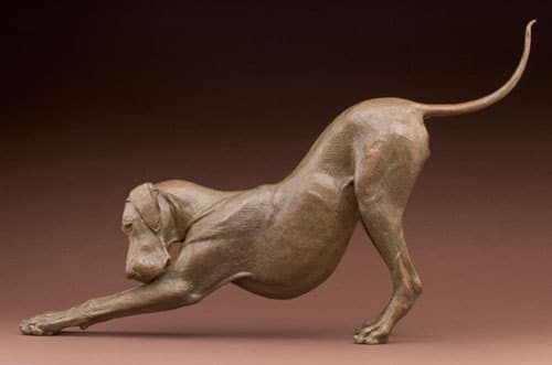 Unleash Vitality with the Downward Dog Yoga Pose