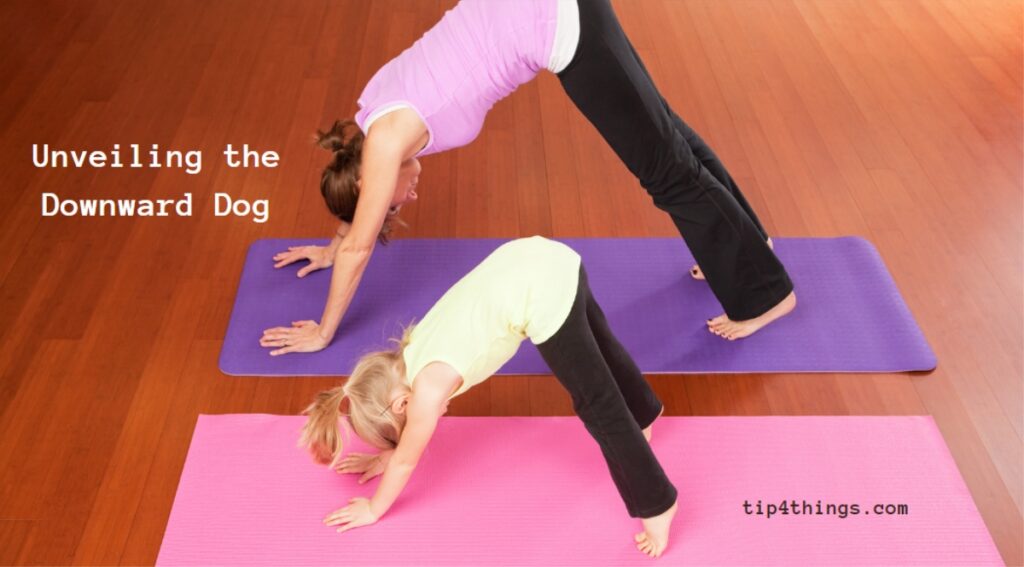 A Symphony of Extension: Unveiling the Downward Dog